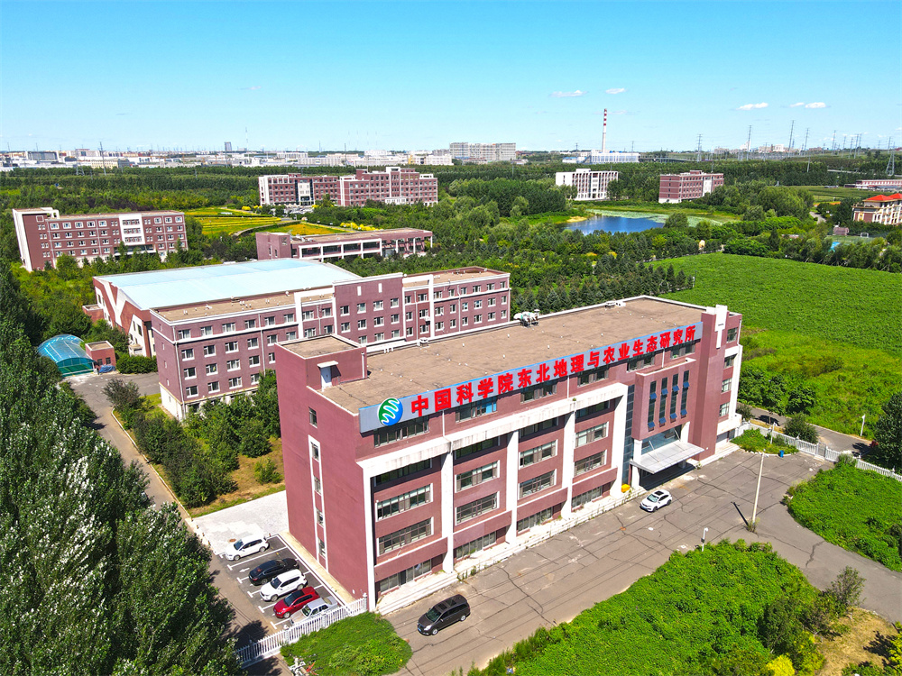 園區西側鳥瞰圖